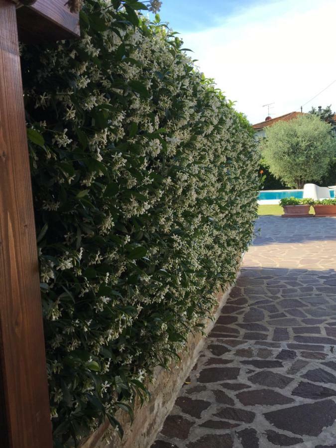 Вилла Casa Pietra Del Sole Лукка Экстерьер фото